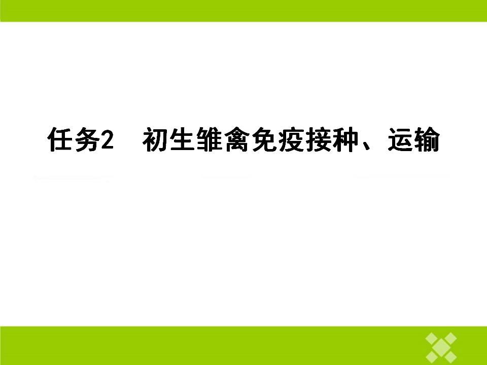 任務2  初生雛禽免疫接種🤦、運輸_01.jpg