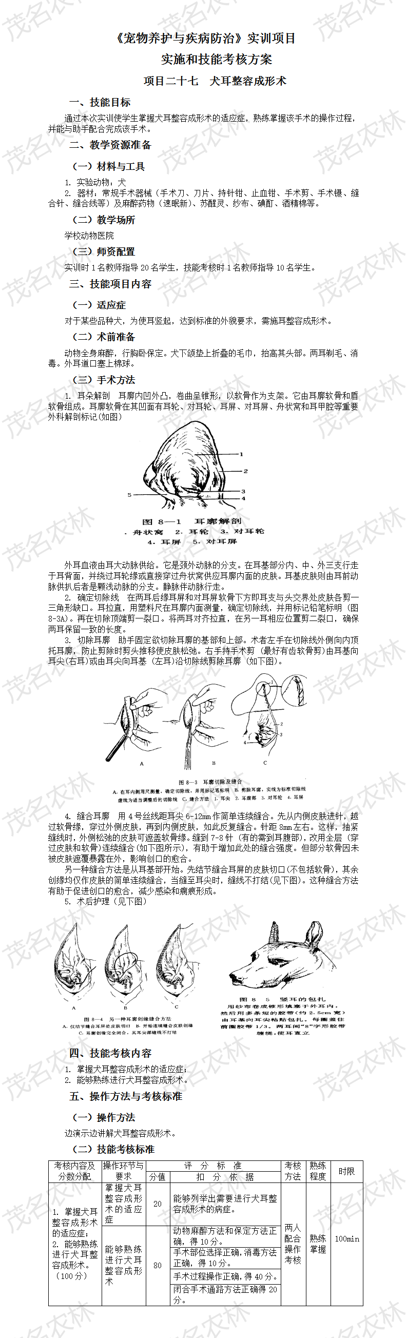 實訓27 犬耳整容成形術.png