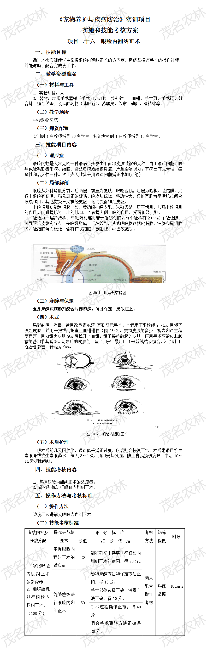 實訓26 眼瞼內翻糾正術.png