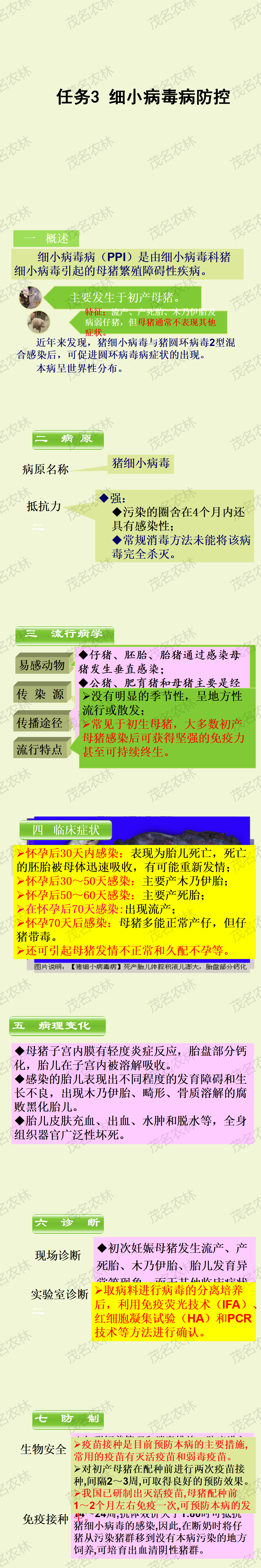 任務3 細小病毒病防控.png