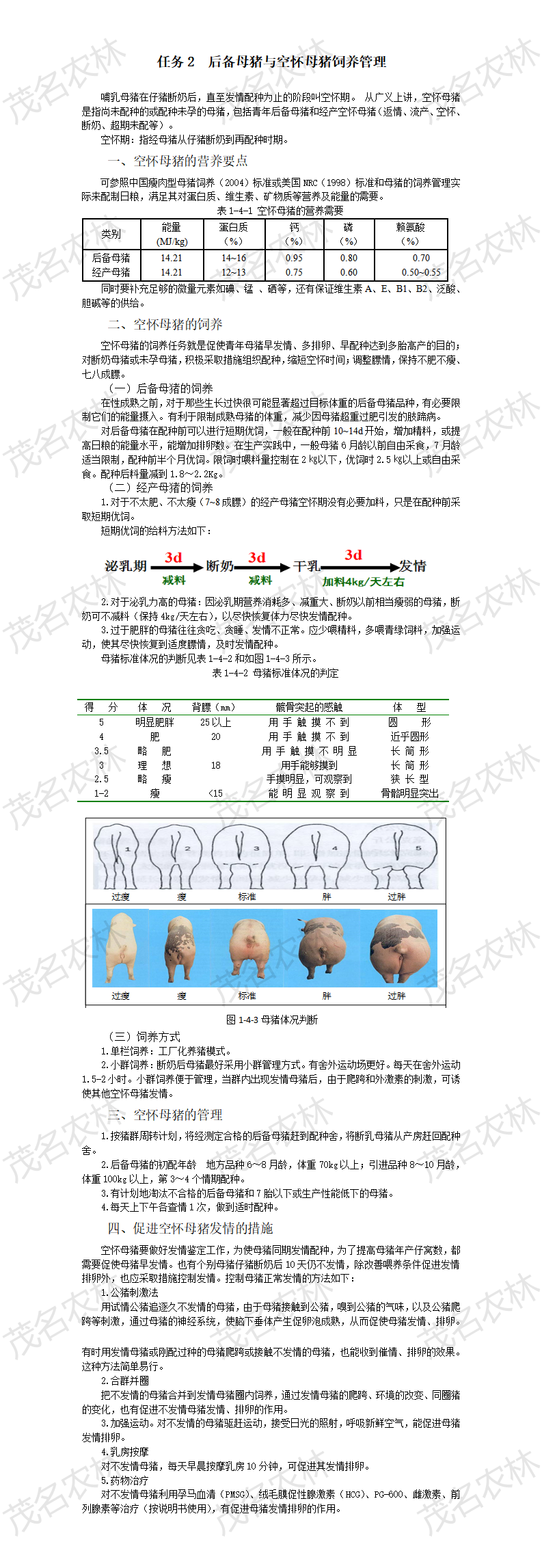 任務2 後備母豬與空懷母豬飼養管理.png