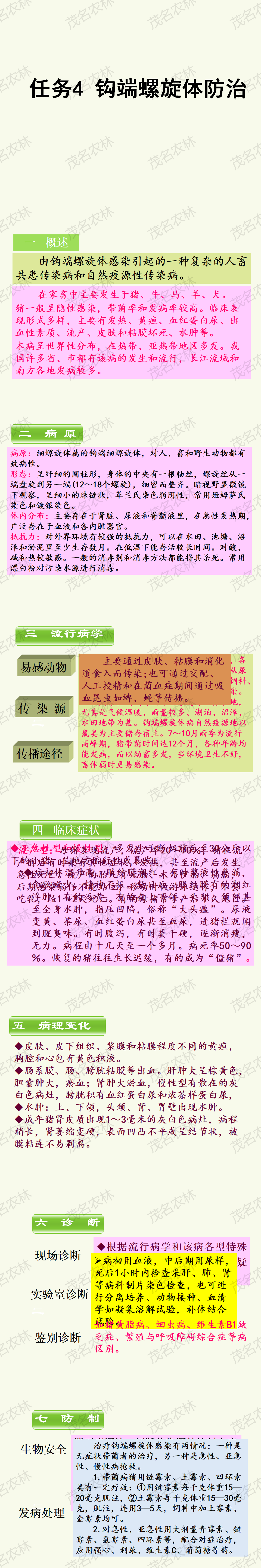 任務4 鉤端螺旋體防治.png