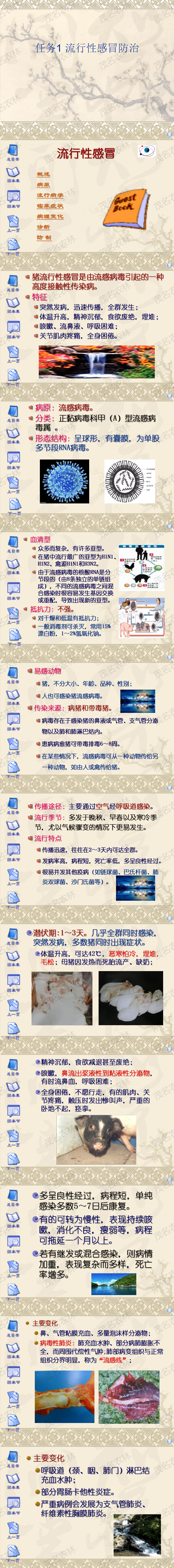 任務1 流行性感冒防治.png