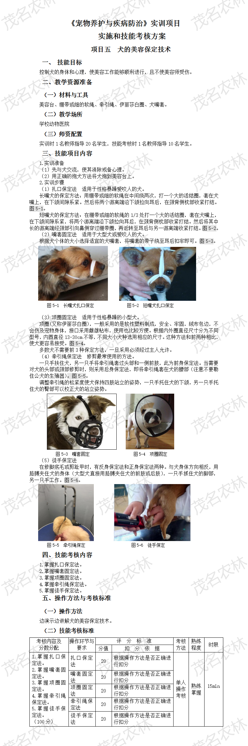 實訓5 犬的美容保定技術.png